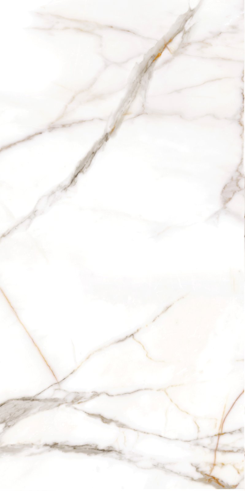 PLATINUM 30X60 KENYA GOLD